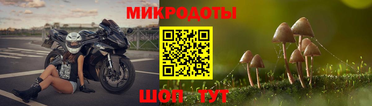 Псилоцибиновые грибы Magic Shrooms  Вход с VPN  Белая Калитва  Псилоцибиновые грибы мицелий 